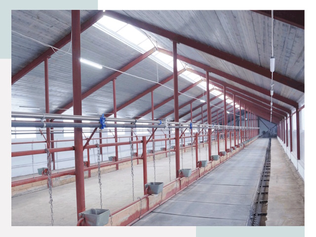 Строительство коровников в Кандалакше от 606 руб.